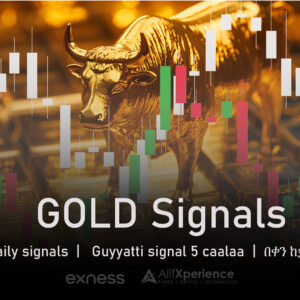 Gold VIP Signals